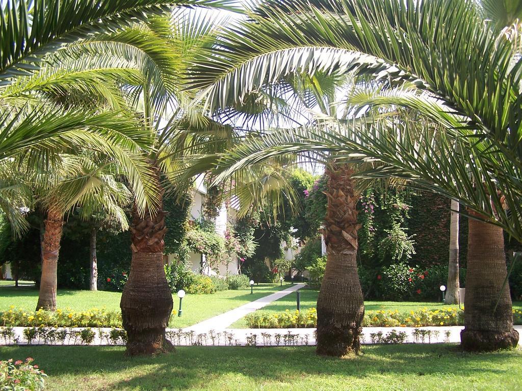Club Boran Mare Beach Kemer Exteriör bild